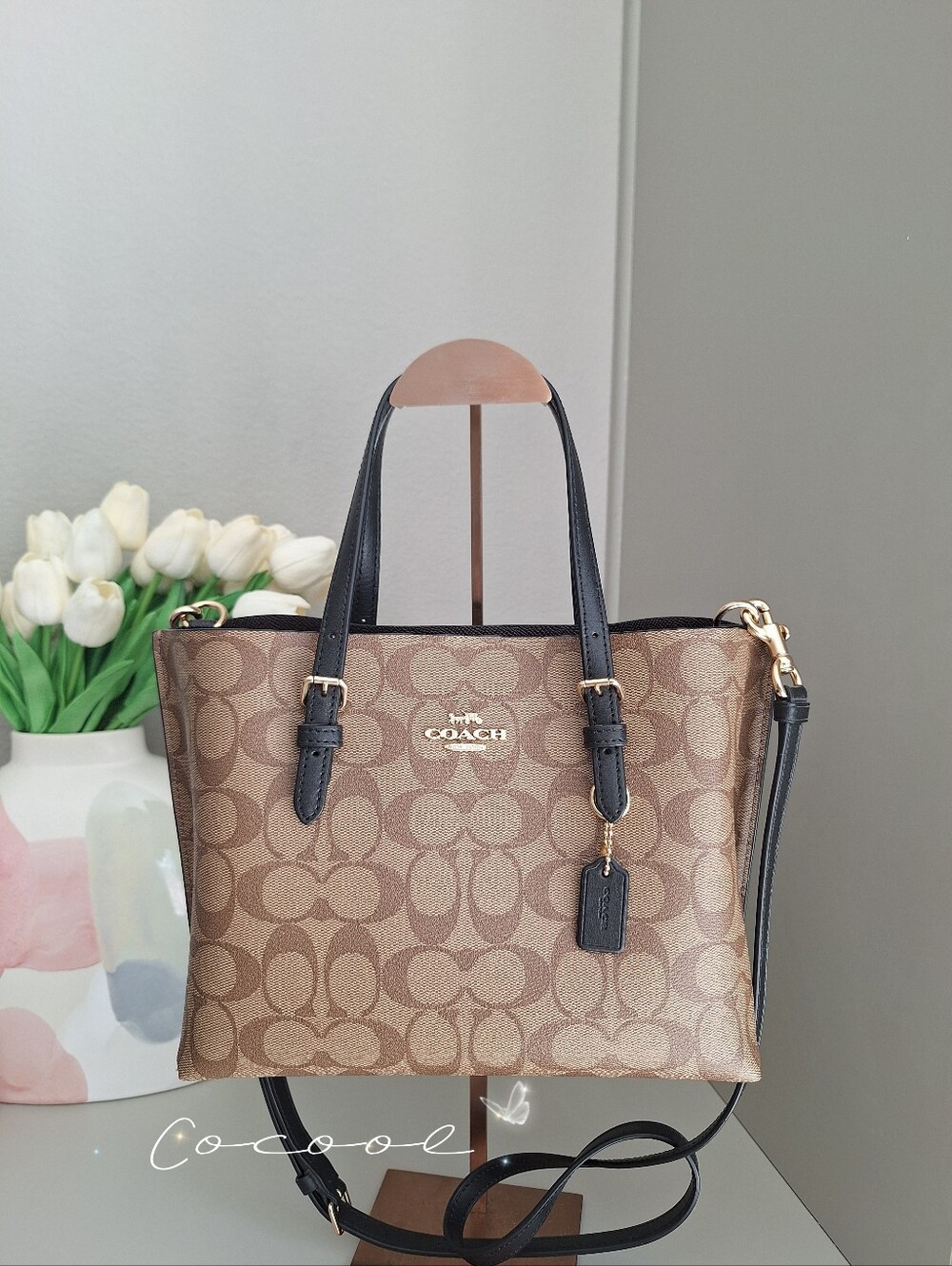 NWT Coach Mollie Tote Bag 25 In Signature Canvas C4250